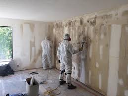 Best Mold Documentation for Insurance Claims  in Glenrock, WY